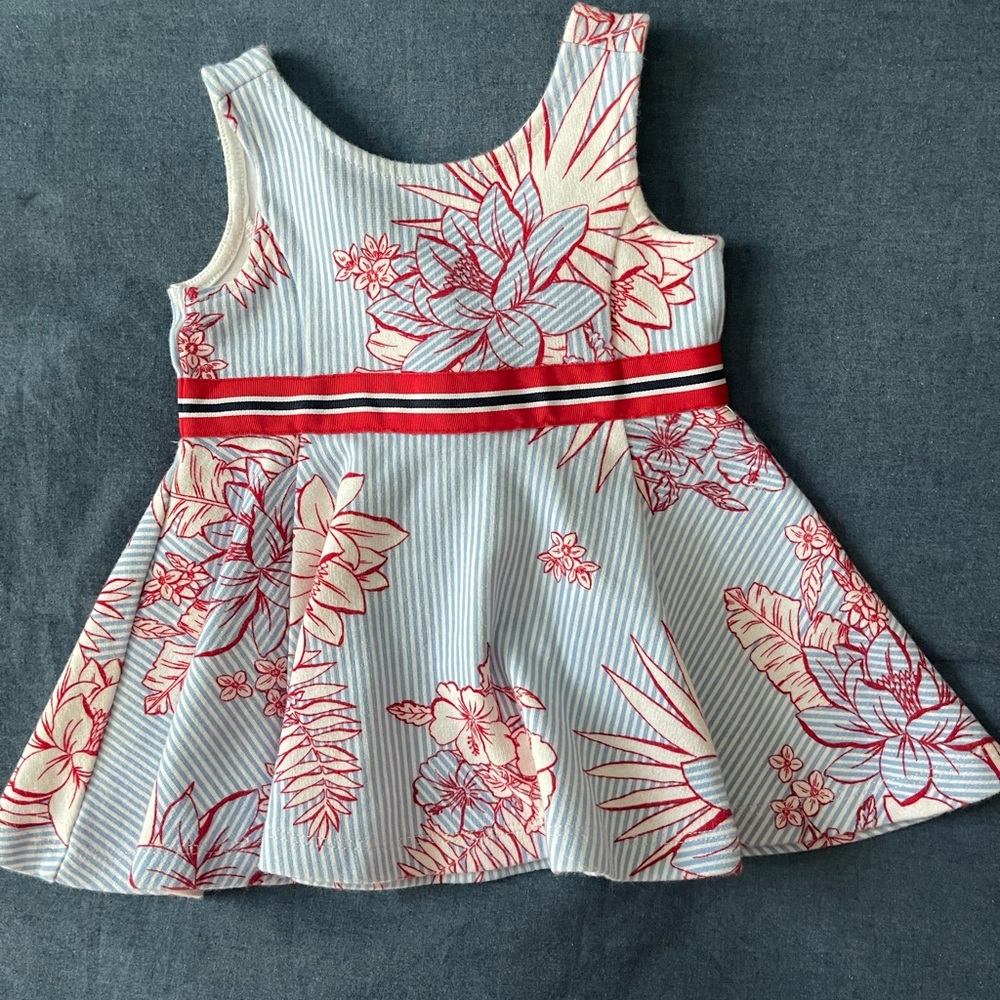 Janie and Jack Red and Blue Floral Dress